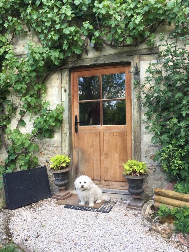 Le Clos De La Livre Bed & Breakfast Fontaine-sur-Ay Exterior photo